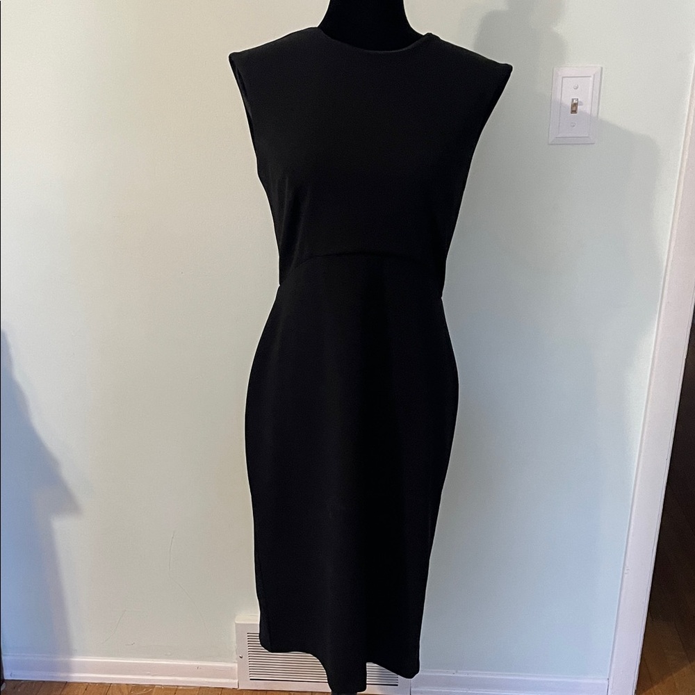 Express Black Sleeveless Dress zipper seam